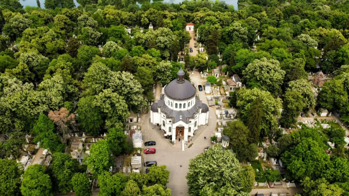 Satul din țara noastră unde mai trăiesc doar șapte oameni. Localnicii au ajuns la disperare. ”Ne mănâncă sălbăticiunile în scurtă vreme”