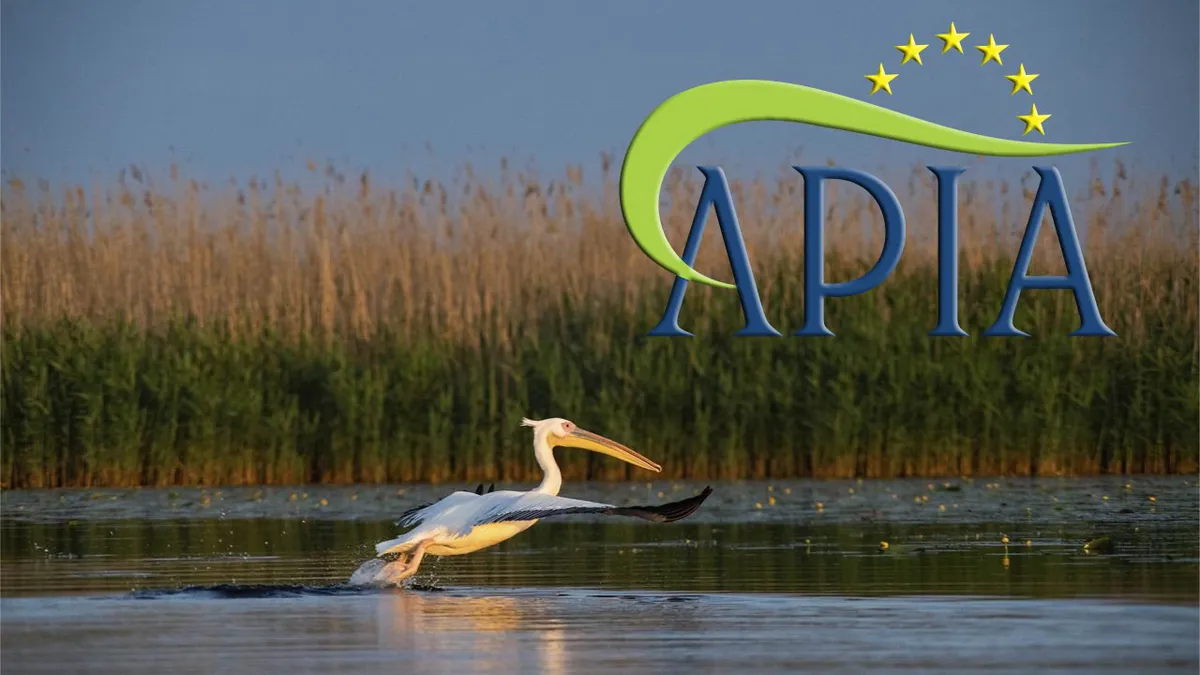 APIA refuză să plătească subvențiile pentru stuful din Delta Dunării. Ionuț Lupu, fost director APIA: „Din punctul meu de vedere este o decizie corectă”