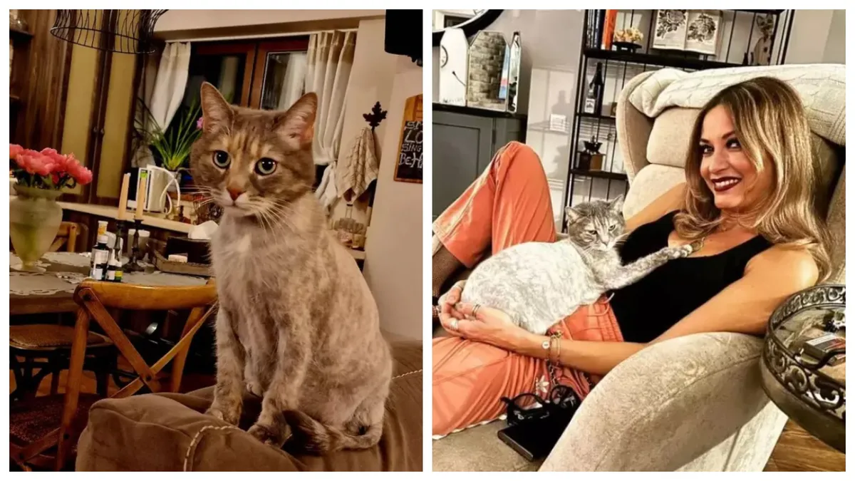 Cum și-a amenajat Anca Țurcașiu locuința. A renunțat la vila de 300.000 de euro și s-a mutat într-un apartament din București