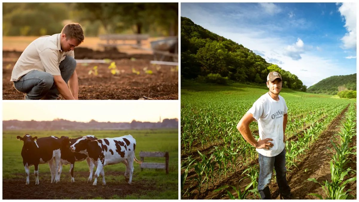 Câți bani au primit fermierii români în 2024? Guvernul negociază cu Comisia Europeană noi ajutoare pentru afacerile din agricultură afectate de război