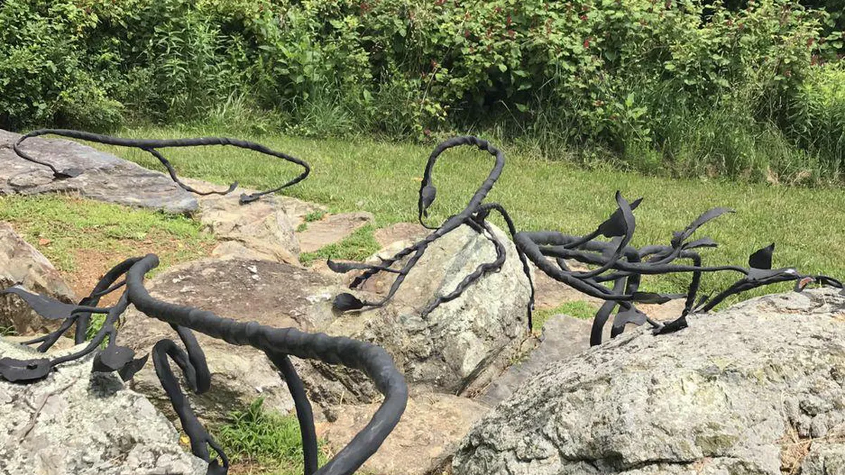 Iluzie optică doar pentru adevăratele genii. Poți vedea șarpele din imagine în 7 secunde?