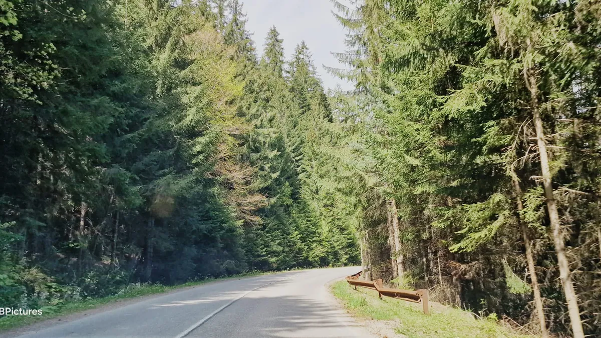 Meteo 8-15 mai 2024. Ceață, ploi și vânt în mare parte a țării