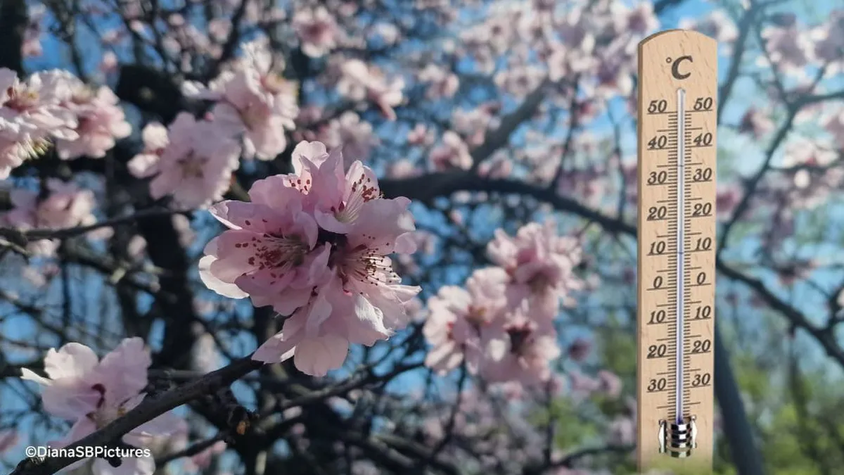 Prognoza meteo 15 aprilie 2025. Primăvara se dezlănțuie, vremea e specifică acestei perioade