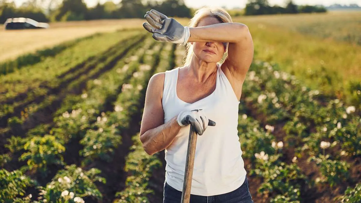 ANAF impune o nouă taxă pentru micii fermieri. Urmează să intre în vigoare de la 1 iulie 2024