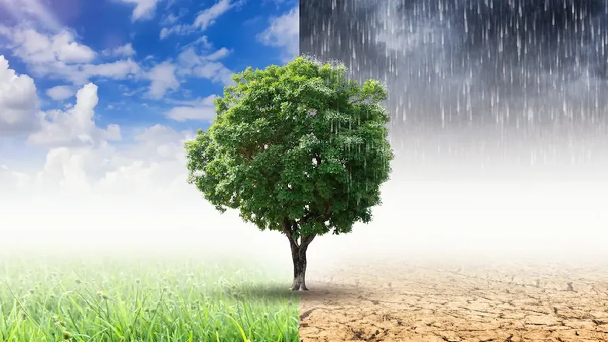 Ploile, grindina și vântul „mătură” România. ANM anunță prognoza meteo până pe 31 mai