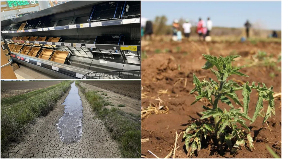 Seceta și canicula cresc prețurile de la raft! Se anunță scumpiri în lanț în 2024