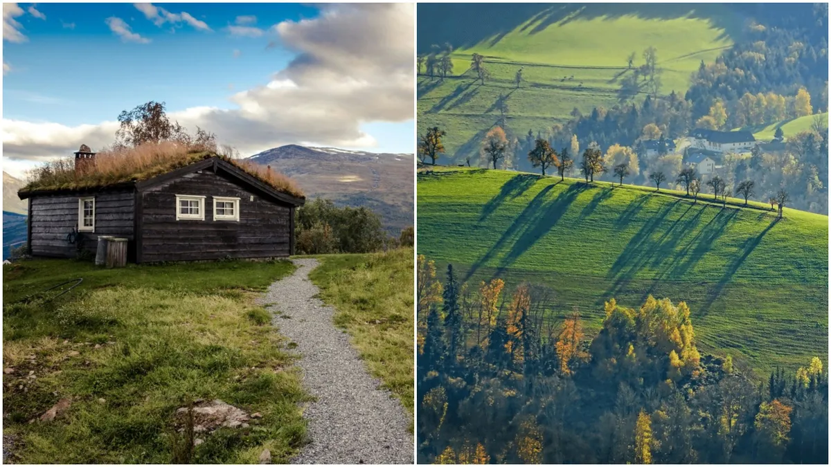 Locul din România în care un teren se cumpără cu un leu pe metru pătrat. Cătunul din țară care a fost lăsat de izbeliște