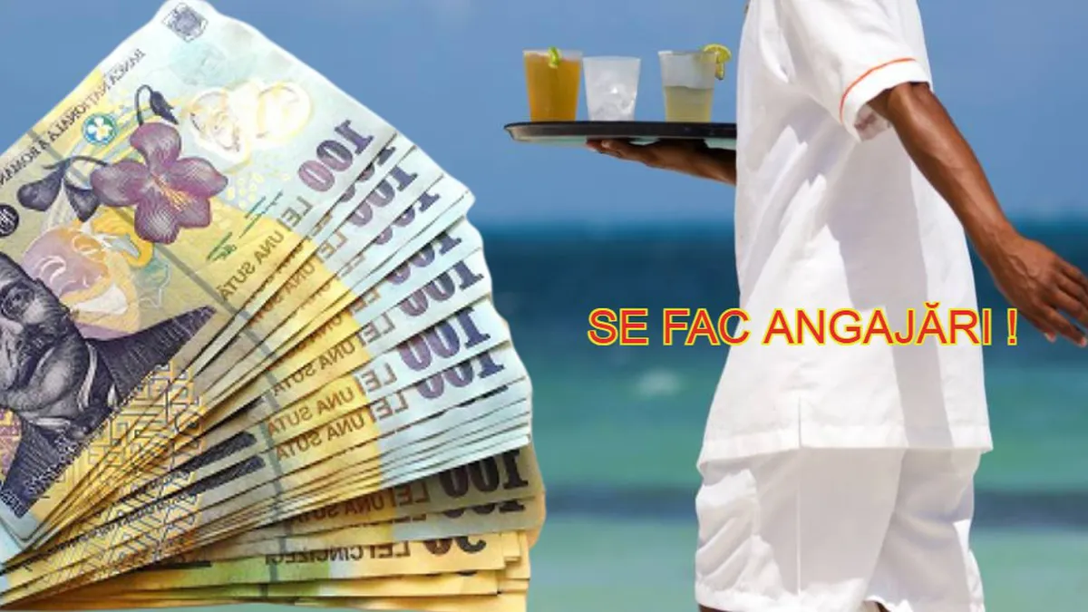 Se caută studenți și elevi pentru joburile din sezonul estival 2024! Topul domeniilor care angajează