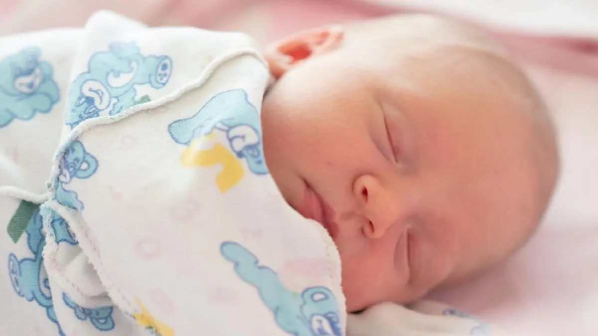 Programul naţional de fertilizare in vitro va fi reluat. Ministrul Muncii anunţă bani pentru 6.600 de familii