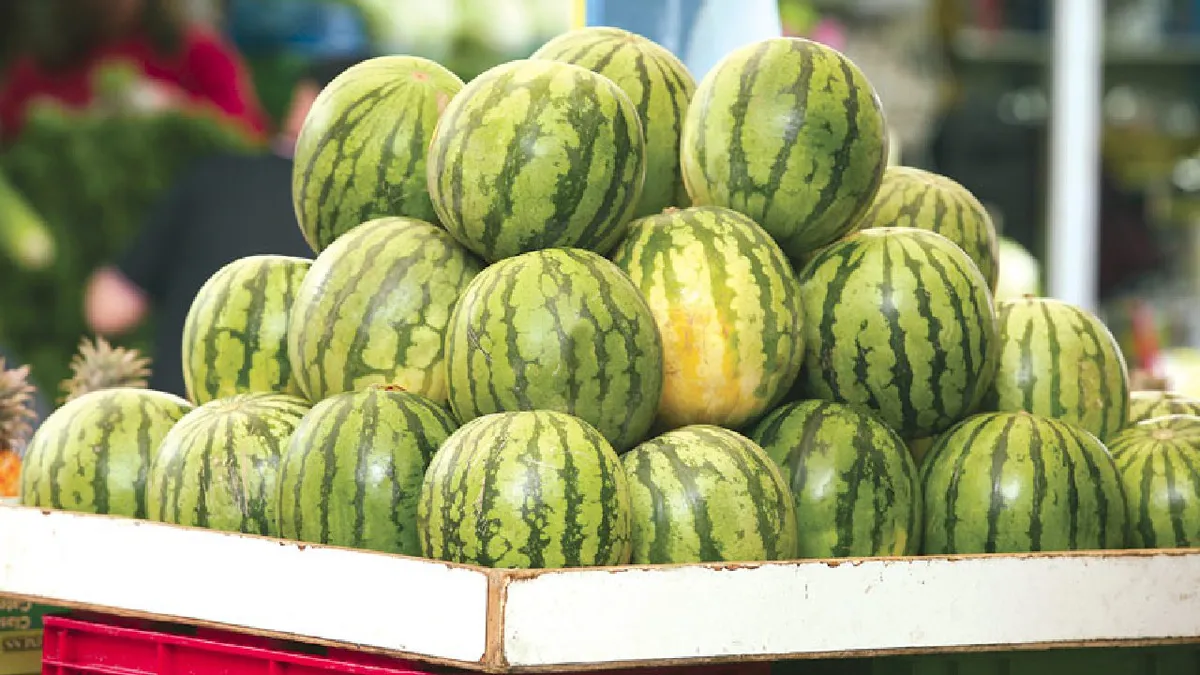 Producția de pepeni din România, una dintre cele mai mari din Europa, este în declin. Ungaria are acum mai mult loc să se ridice