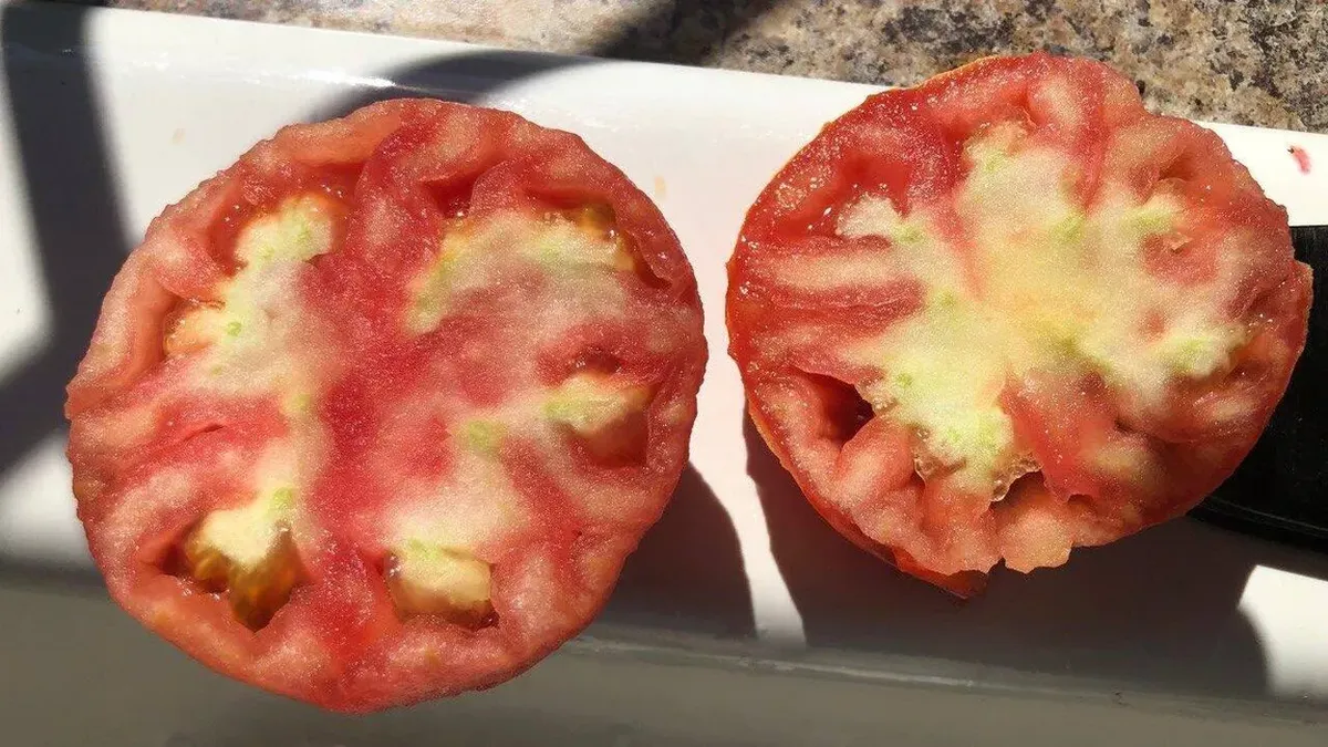 De ce nu e bine să mâncăm partea „lemnoasă” a roșiilor. Specialiștii ne avertizează asupra pericolelor