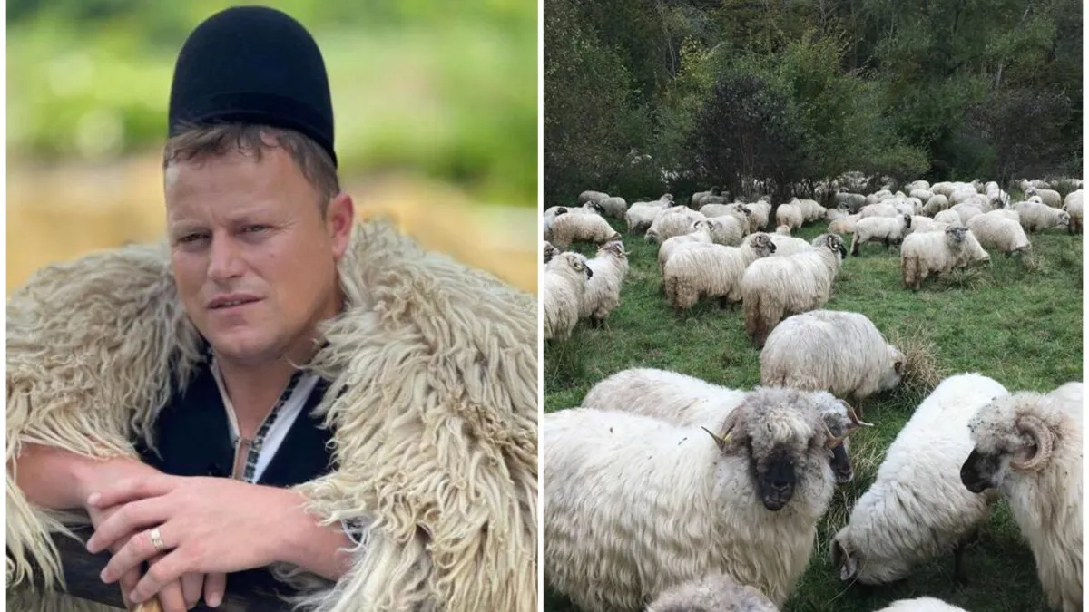 Ghiță Ciobanul, mesaj pentru toți oierii din România: Să nu dăm mieii din câmp sub 18,5 lei/kg. Crescătorii sunt panicați din cauza focarelor