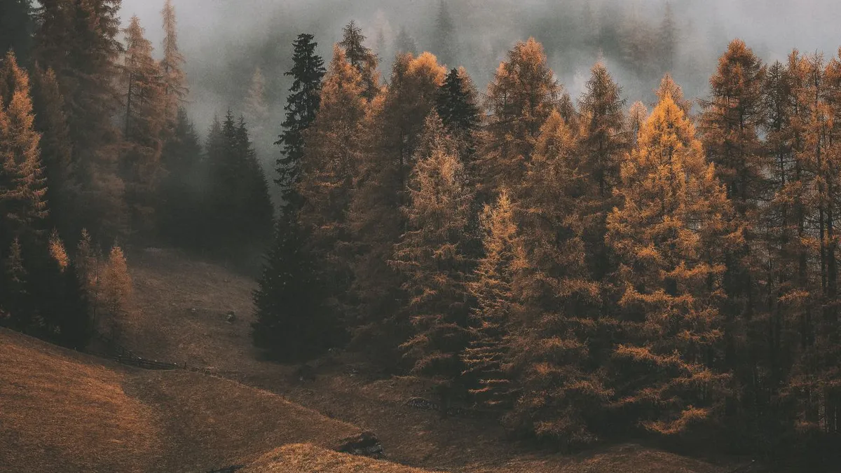 Prognoza meteo 29 ianuarie 2025. Vine primăvara mai devreme în România. Meteorologii anunță temperaturi mult mai ridicate