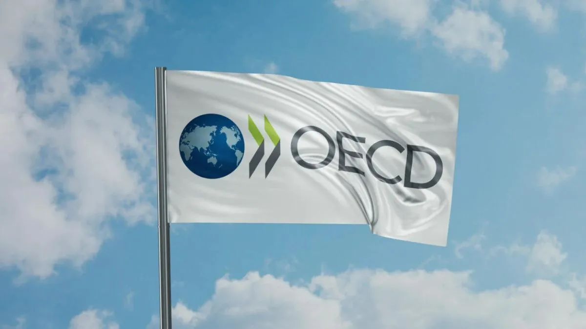 OCDE recomandă României creșterea impozitelor pe proprietăți pentru reducerea deficitului bugetar