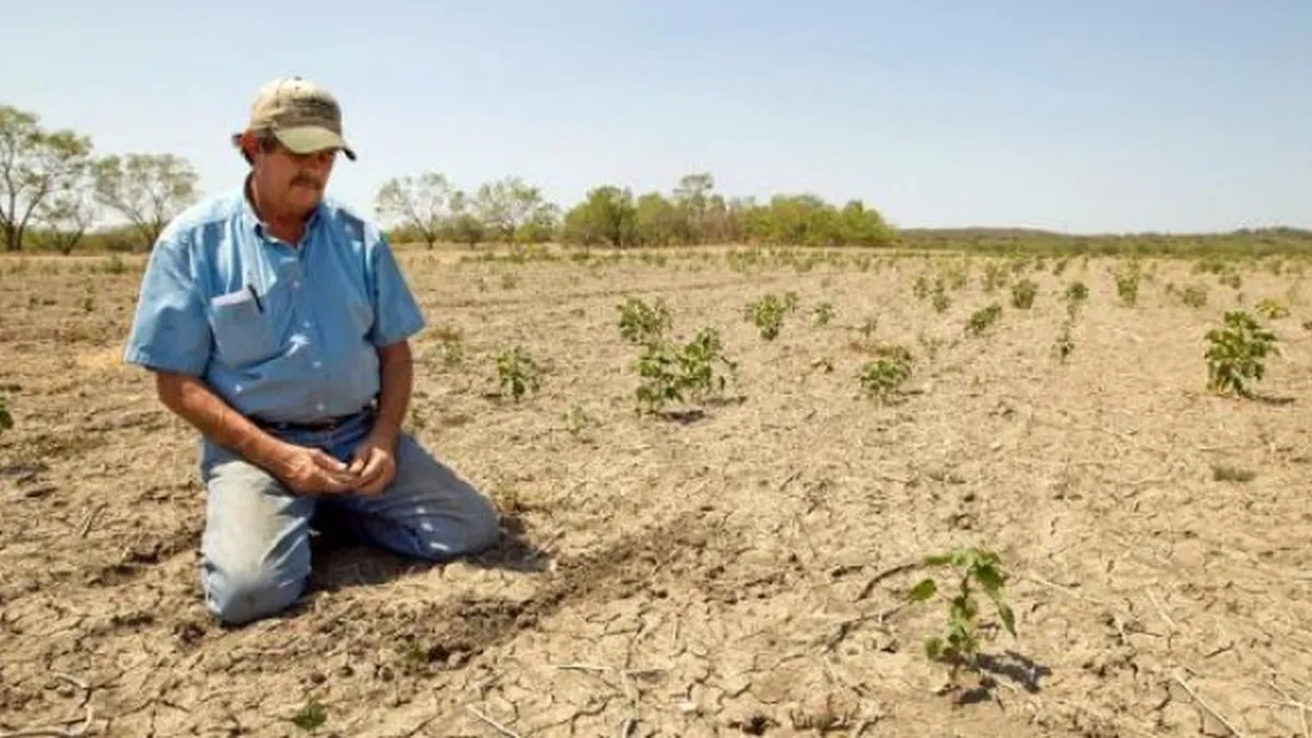 Sudul ţării ar putea ajunge noua Sahara în 30 de ani. Ce soluții ar mai putea salva România de secetă
