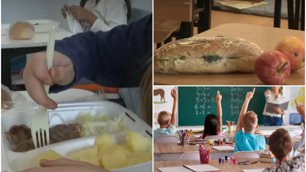 De ce proiectul-pilot „Masă caldă” în școli a murit din fașă. Monica Anisie, fost ministru al Educației și unul dintre inițiatorii proiectului: Autoritatea publică locală ar fi trebuit să dezvolte cantine la fiecare școală