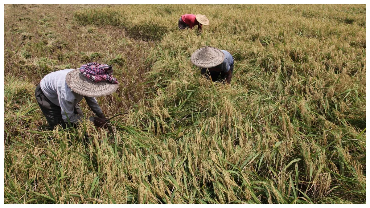 Categoria de români care poate pierde 1.100 de lei dacă nu respectă anumite condiții. Se aplică de la 1 ianuarie 2025