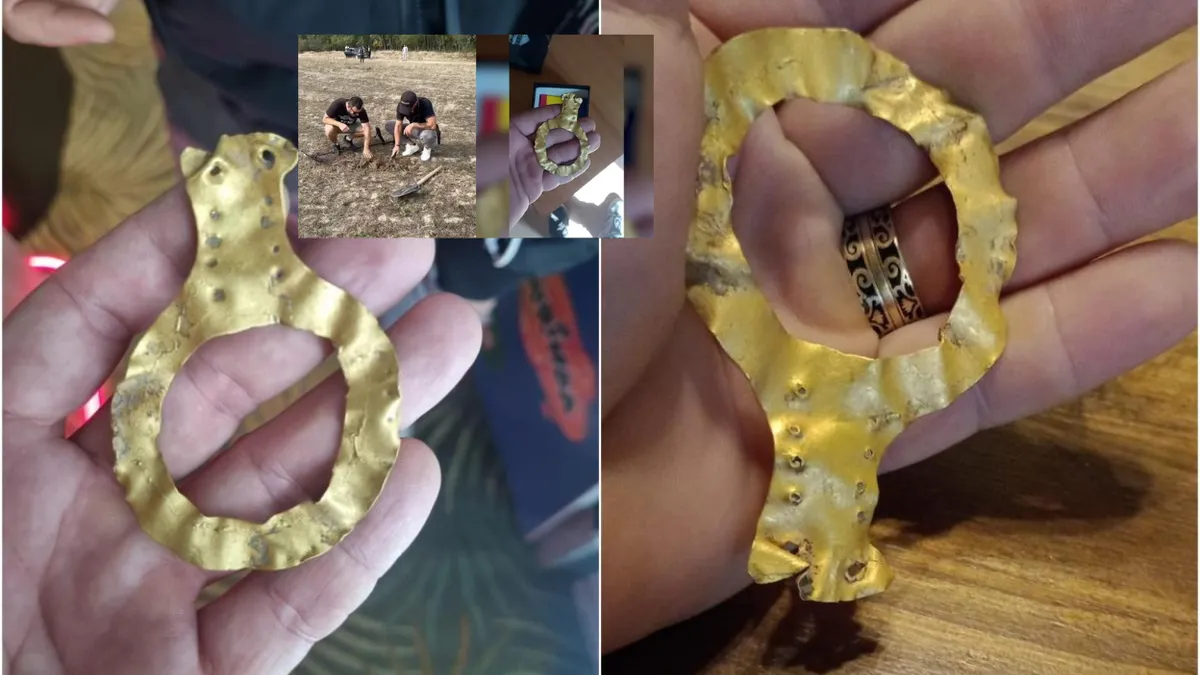 Un șofer a descoperit o comoară în Olt, care i-ar putea schimba viața!