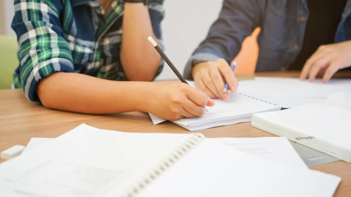 Câți profesori au recunoscut să fac meditații. Au avut venituri de 169 de milioane de lei în 2023