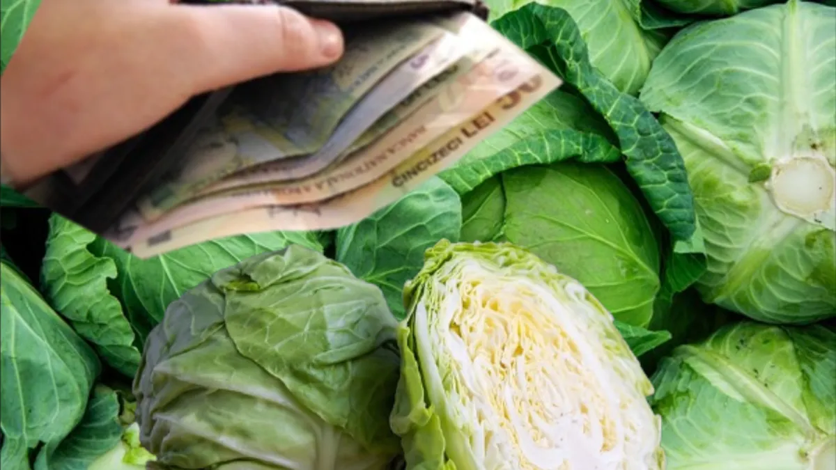 Românii se pregatesc de toamna! Cât de mult a crescut prețul la varză