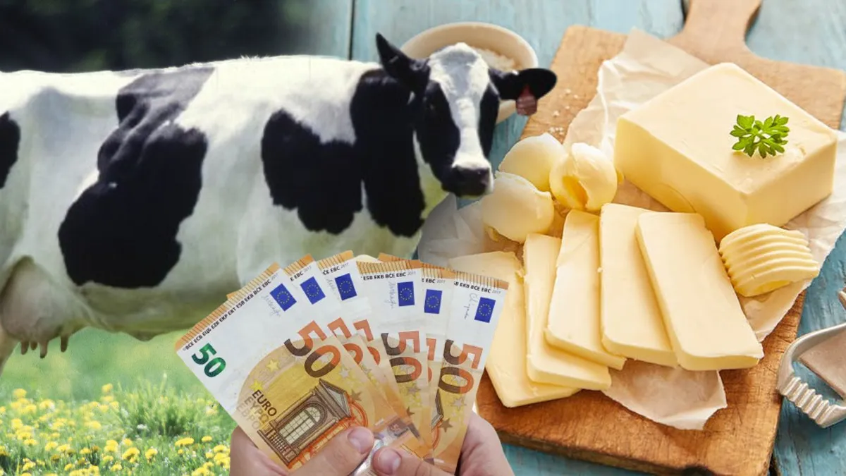 Prețul untului a atins un nivel record la finalul anului 2024, în Europa și SUA, din cauza scăderii producției de lapte și a creșterii costului pentru furaje