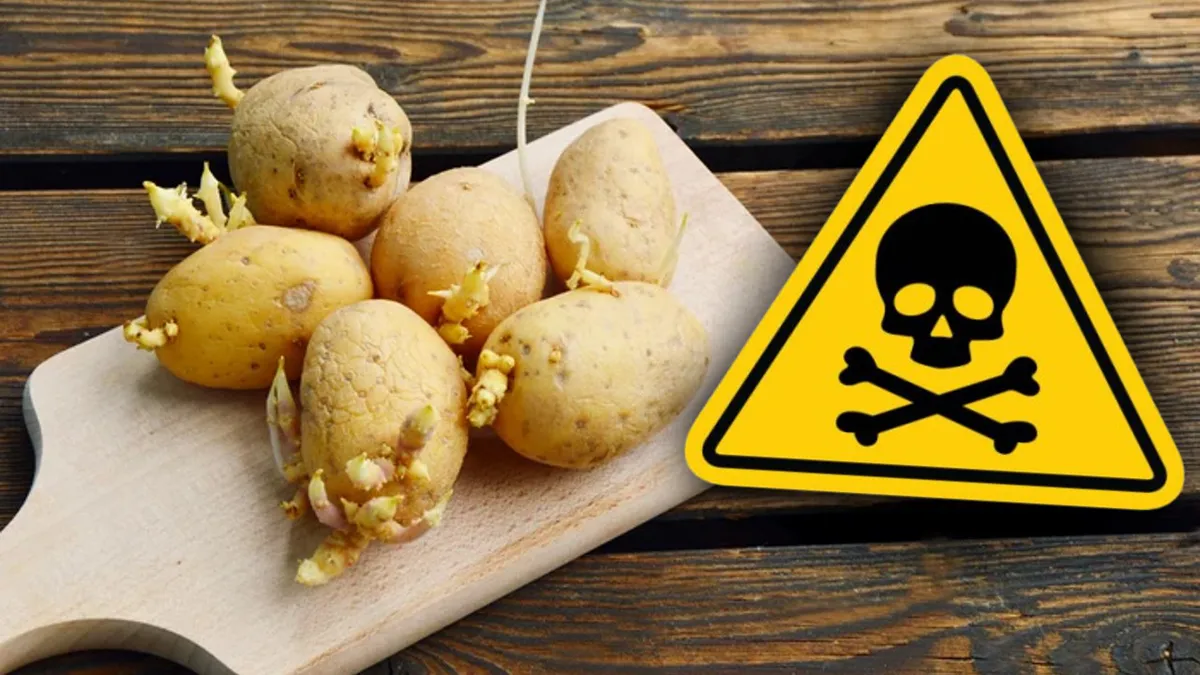 Cartofi toxici în piețe și magazine. La ce trebuie să fie atenți românii, dacă vor să nu fie otrăviți
