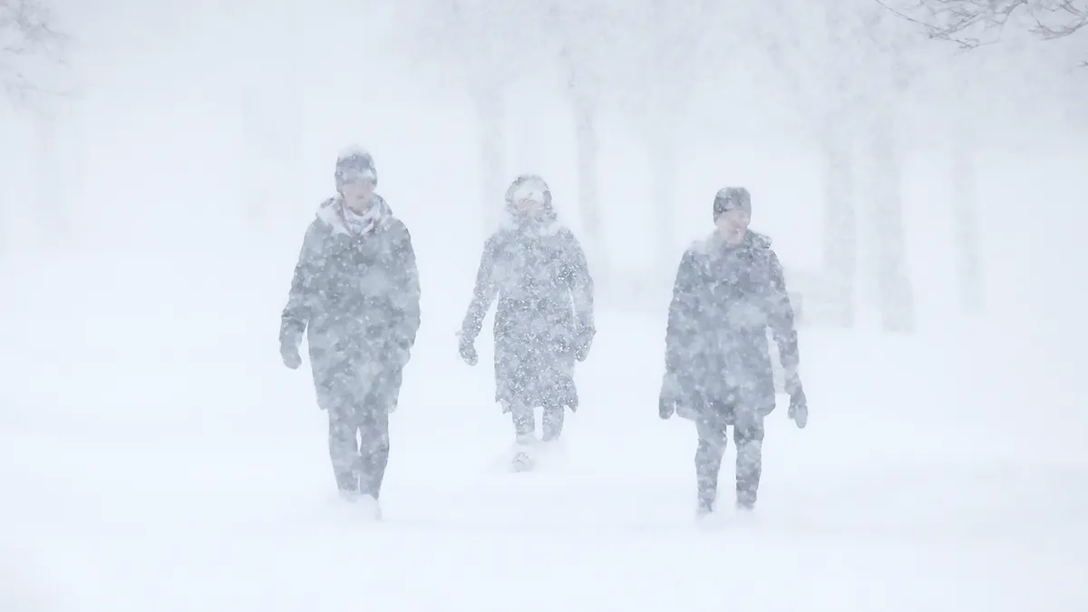 Ninsorile mătură România! 11 județe vor fi acoperite de zăpadă! Harta zonelor afectate