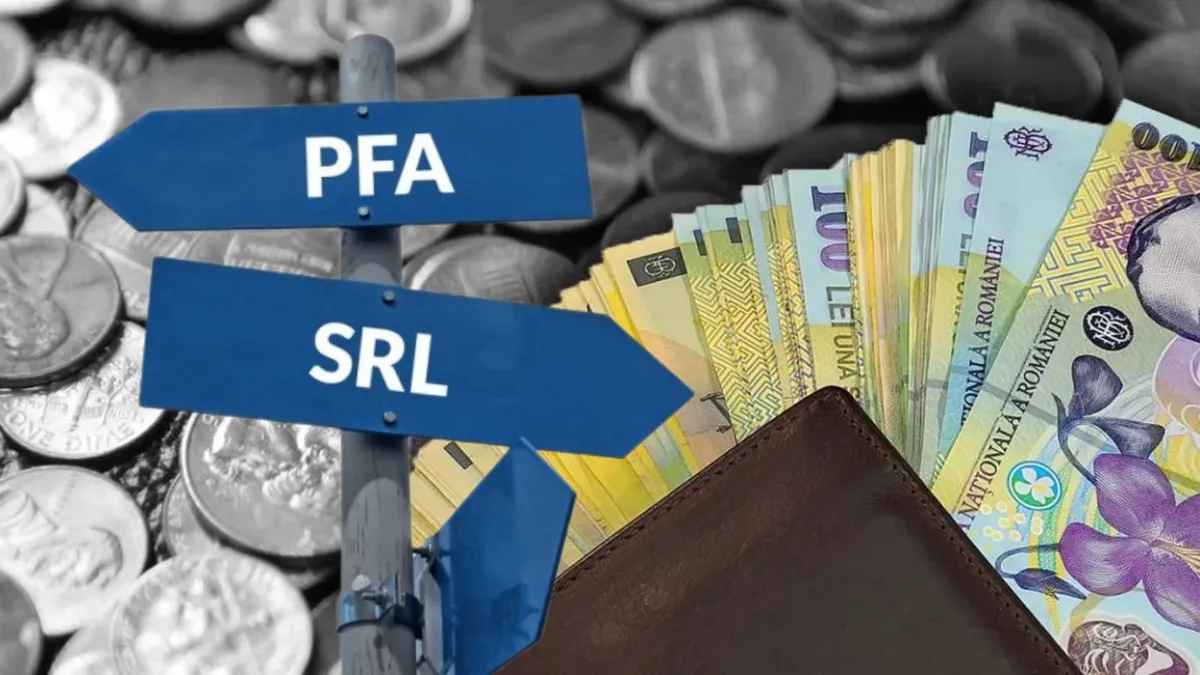 Lovitură pentru PFA-uri! Curtea Constituțională blochează legea transformării în societăți comerciale