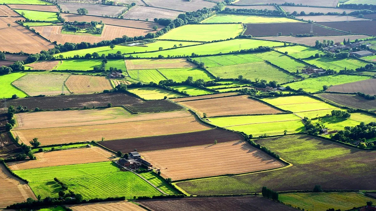 Reguli stricte pentru proprietarii de terenuri din România, în 2024. Legea le interzice să facă aceste lucruri