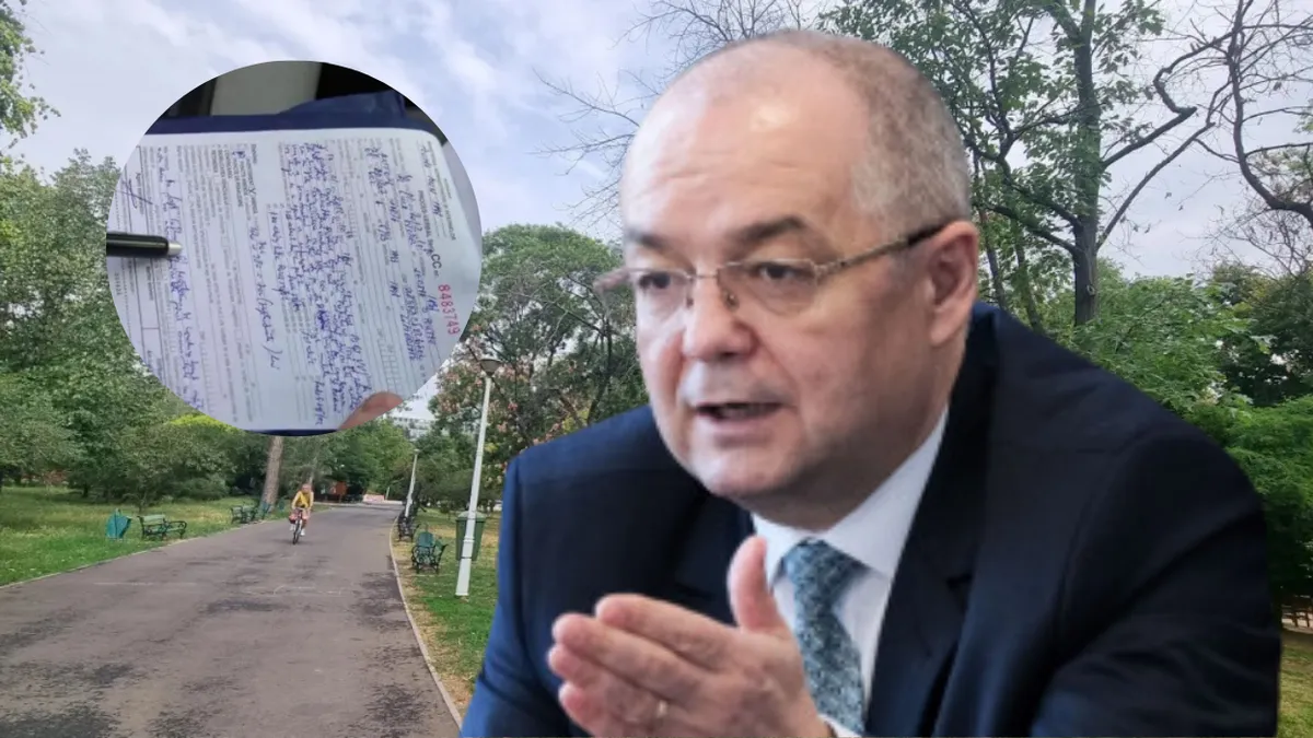 Amenzi uriașe! Interzis să faci asta copacilor. Nu există toleranță pentru astfel de practici