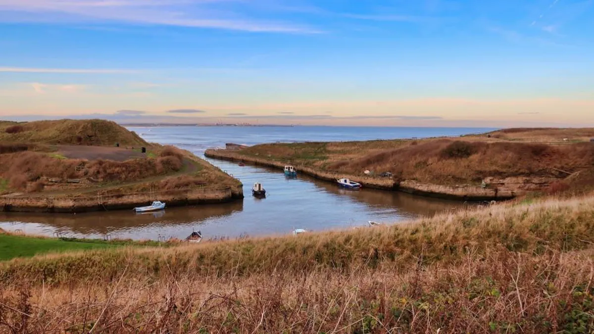 Cum să identifici o mulinetă feeder de încredere: sfaturi și recomandări