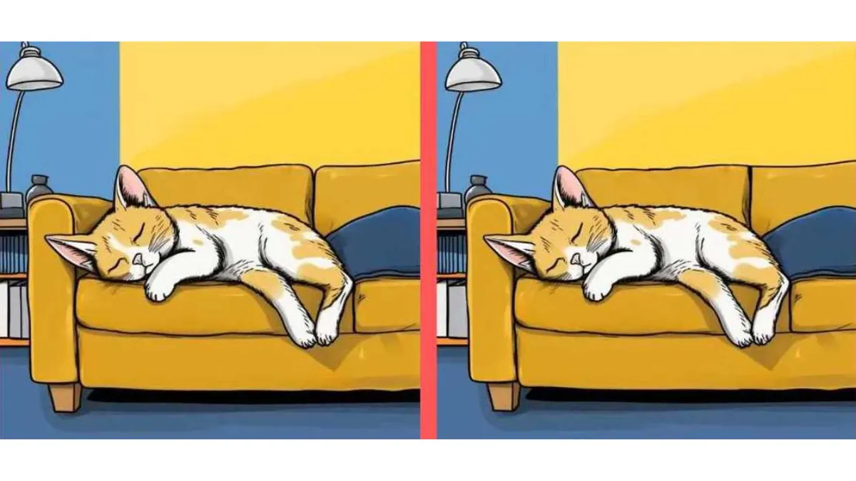 Provocare de logică. Aceste imagini par identice, dar ascund trei diferențe