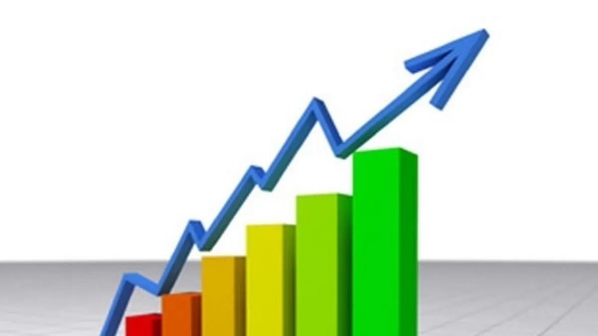 Anul scumpirilor. INS: Managerii anticipează, pentru următoarele trei luni, creșterea prețurilor în toată economia