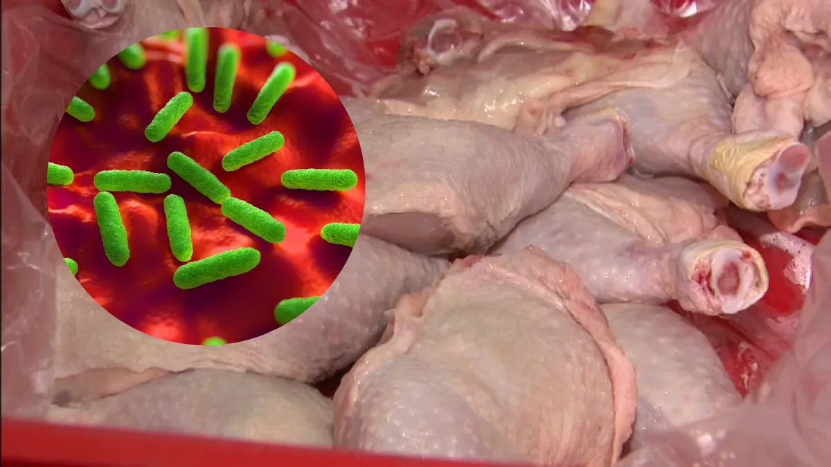 Carne de pui contaminată cu Salmonella, retrasă din toate magazinele!
