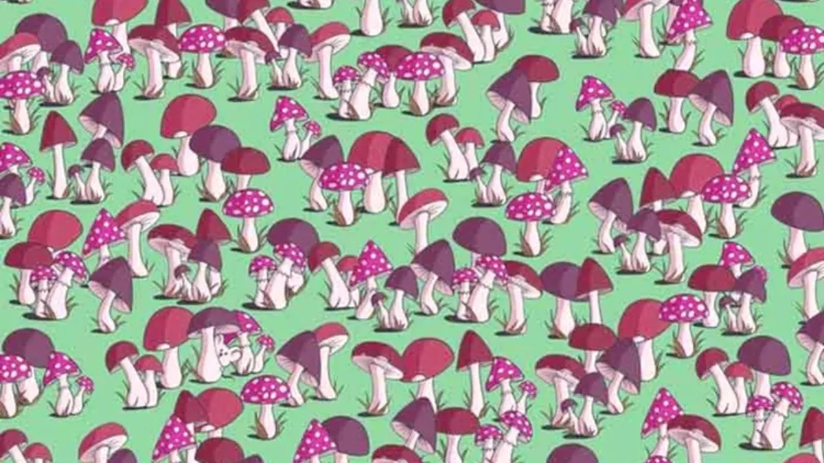 Numai cei cu vedere de șoim și IQ ridicat pot identifica animalul ascuns. Ai 7 secunde la dispoziție