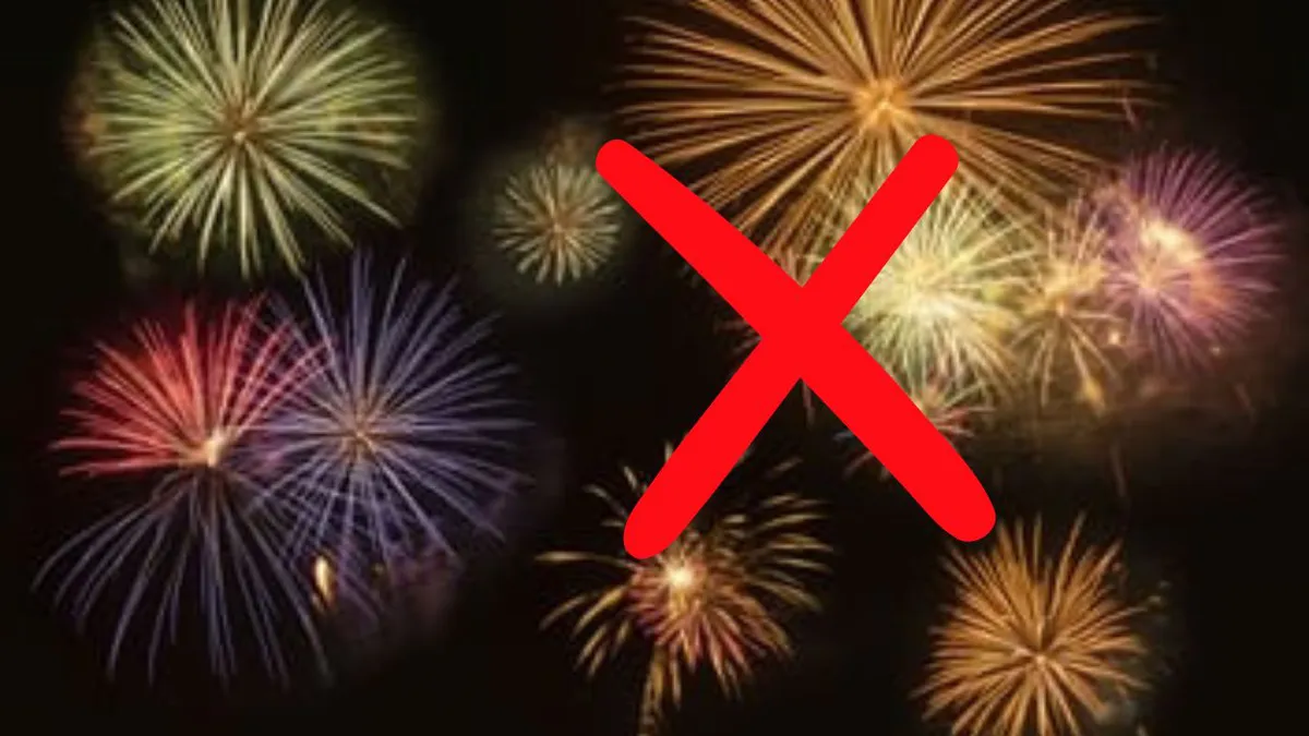 Interzis la artificii! Decizia radicală dintr-o țară UE după valul de victime umane și animale