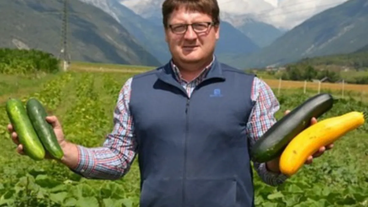 Agricultorii austrieci au pus ochii pe câmpurile din România: ”Aici, costurile sunt mai mici”