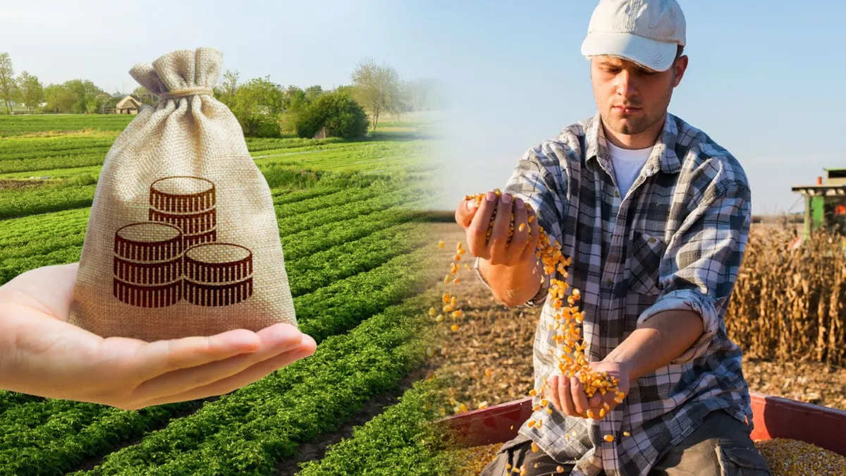 Subvenție de 1.000 de lei pentru fermierii români. Data la care intră banii pe cardurile agricultorilor eligibili