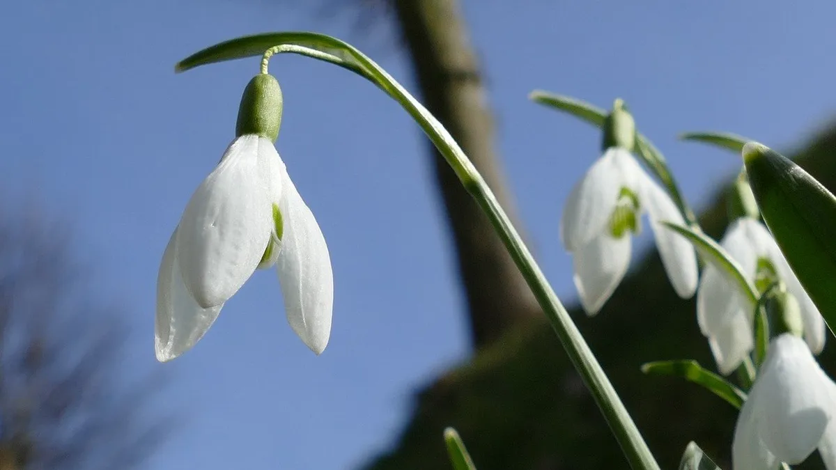 Meteorologii Accuweather au actualizat prognoza meteo pentru februarie 2025. Cum va fi vremea în București