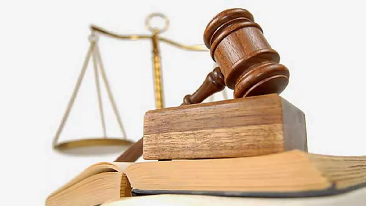 ÎCCJ confirmă abuzurile judecătoarei Camelia Bogdan în dosarul „Telepatia”. Triplă confiscare și încălcarea legii