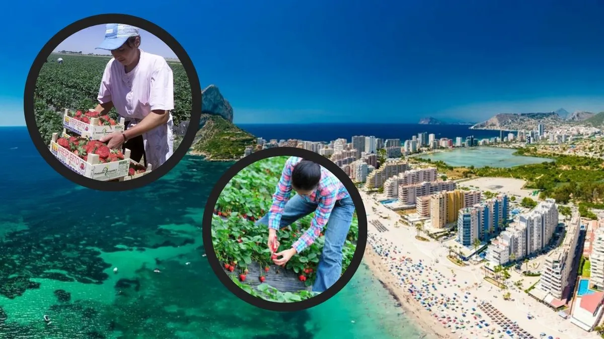 Românii din Spania rup legătura cu țara? Statistici uluitoare: Din 2007 până azi, cifrele ating un nou maxim istoric!