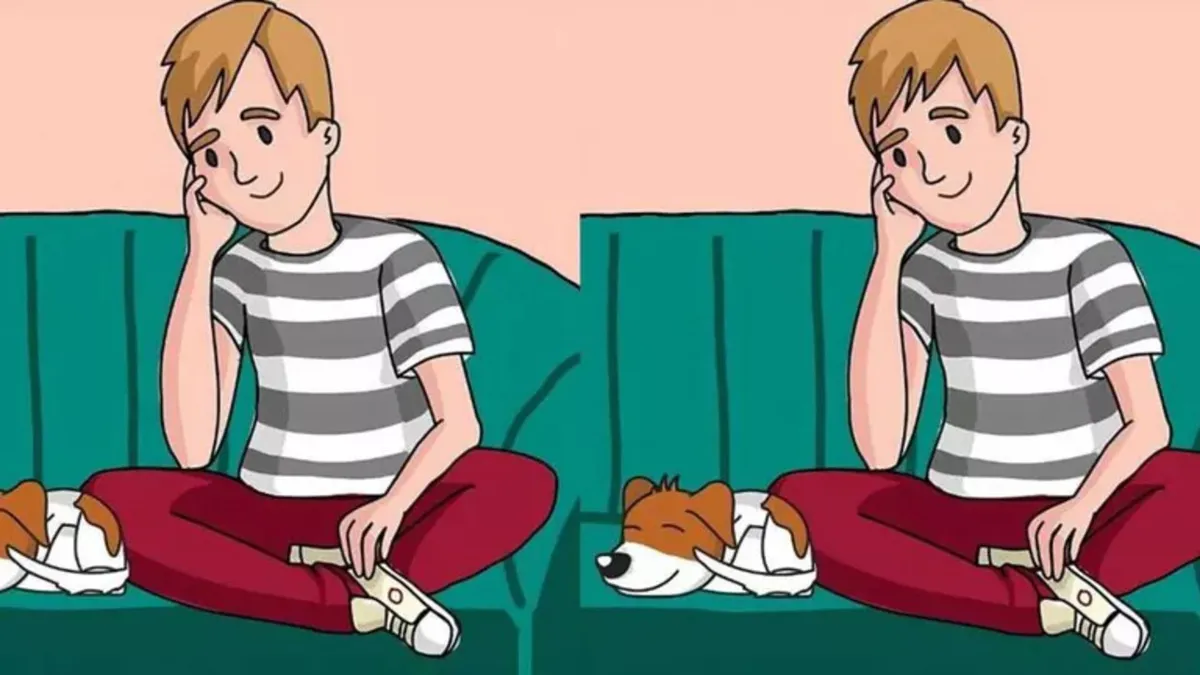 TEST IQ. Găsește cele 3 diferențe dintre imagini în doar 7 secunde. Numai persoanele cu o privire de vultur reușesc într-un timp atât de scurt