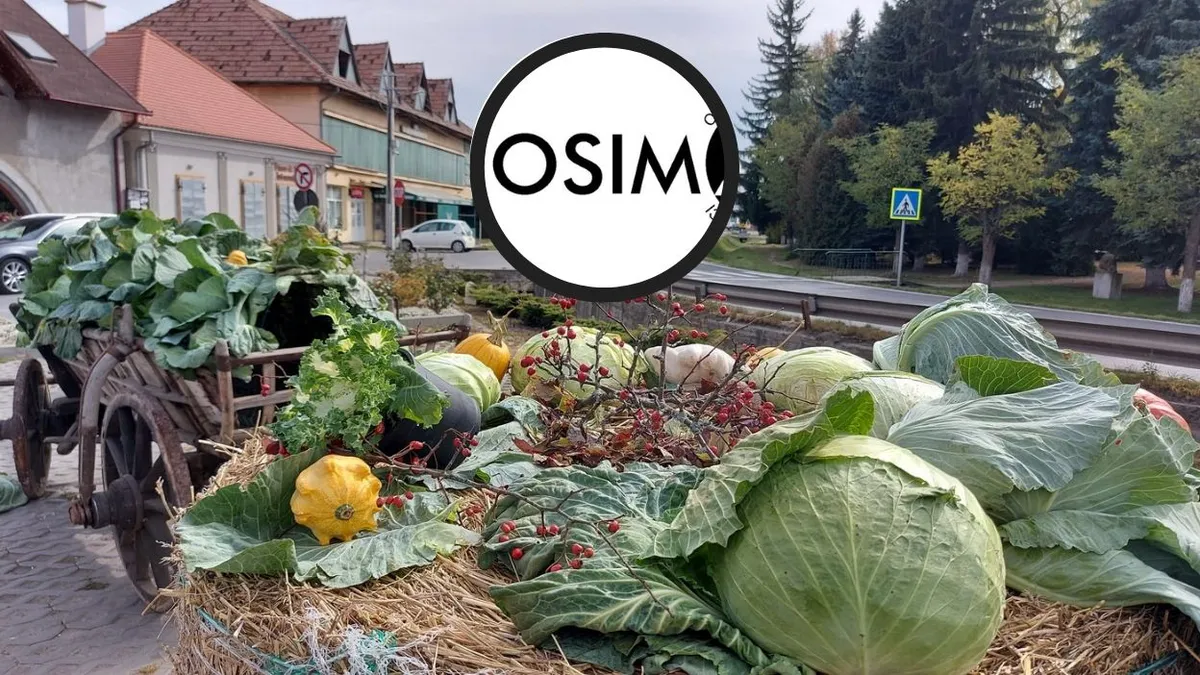 Varza de Lăzarea. Leguma Românească unică, înregistrată la OSIM, cultivată într-o singură localitate din Harghita