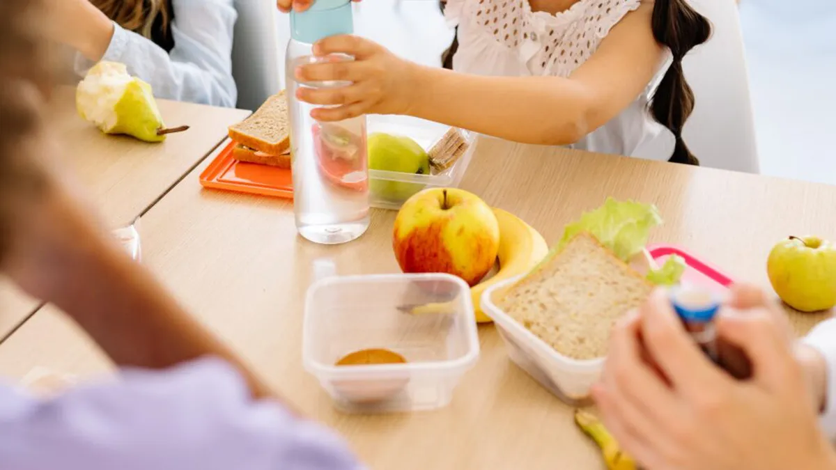 Peste o mie de școli incluse în programul Masă Sănătoasă 2025. Guvernul intenționează să reducă abandonul şcolar cu o masă de 15 lei, inclusiv TVA