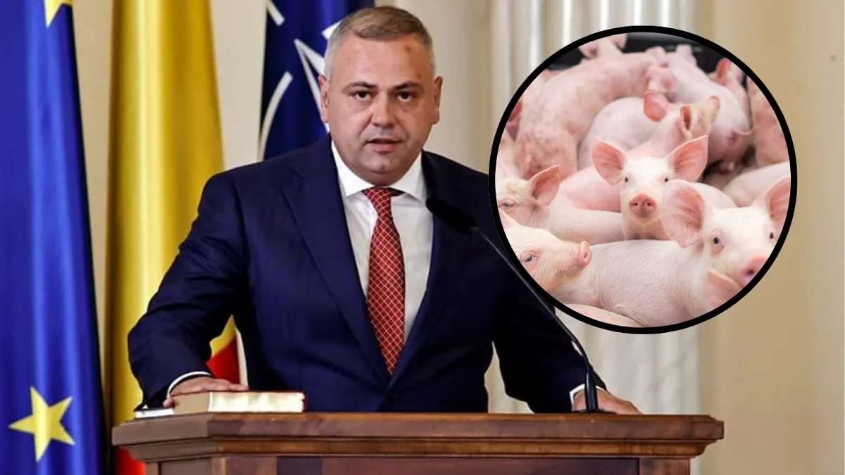 Ministrul Agriculturii promite dezvoltarea sectorului de creștere a porcilor în România