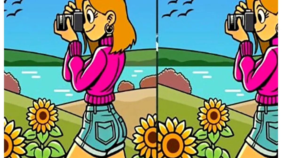 Test IQ. Găsește trei diferențe între cele două fotografii. Doar geniile reușesc să facă asta în 30 de secunde