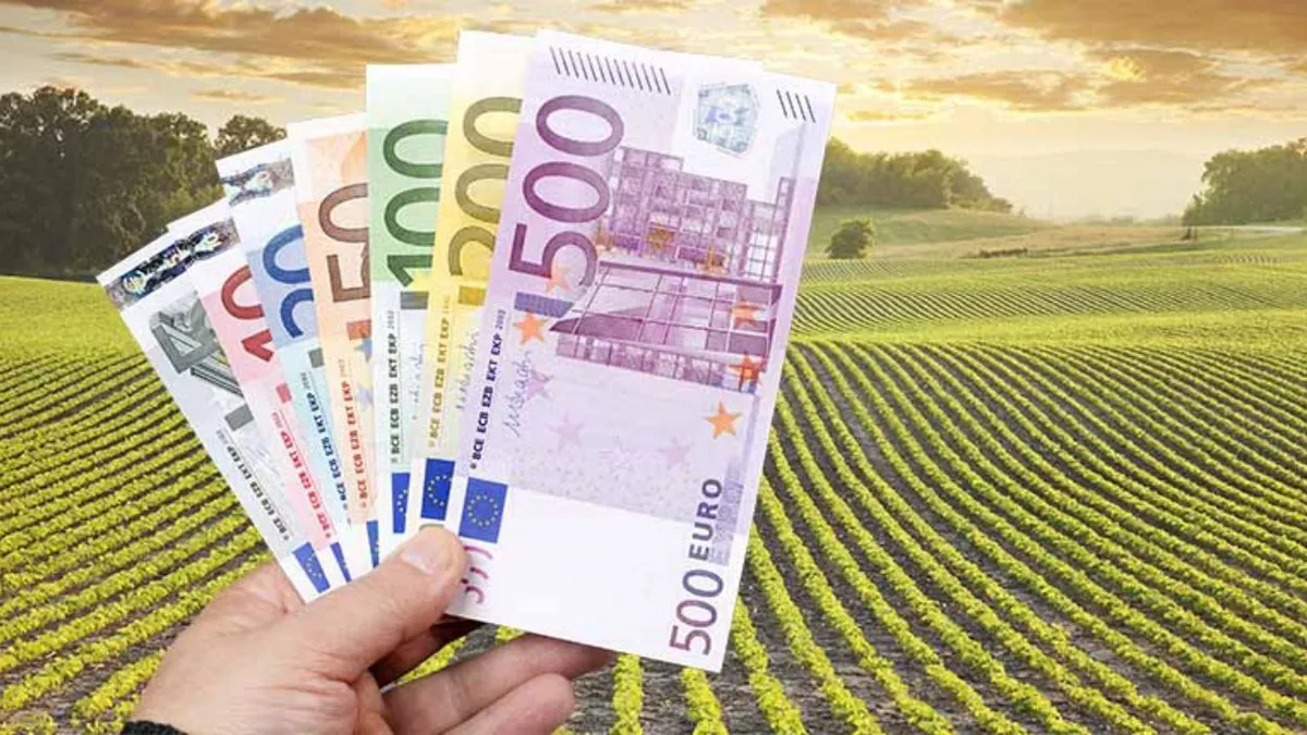 Eliminarea facilităților fiscale din agricultură. Prețurile vor exploda pe rafturi și inflația va atinge noi cote în 2025!