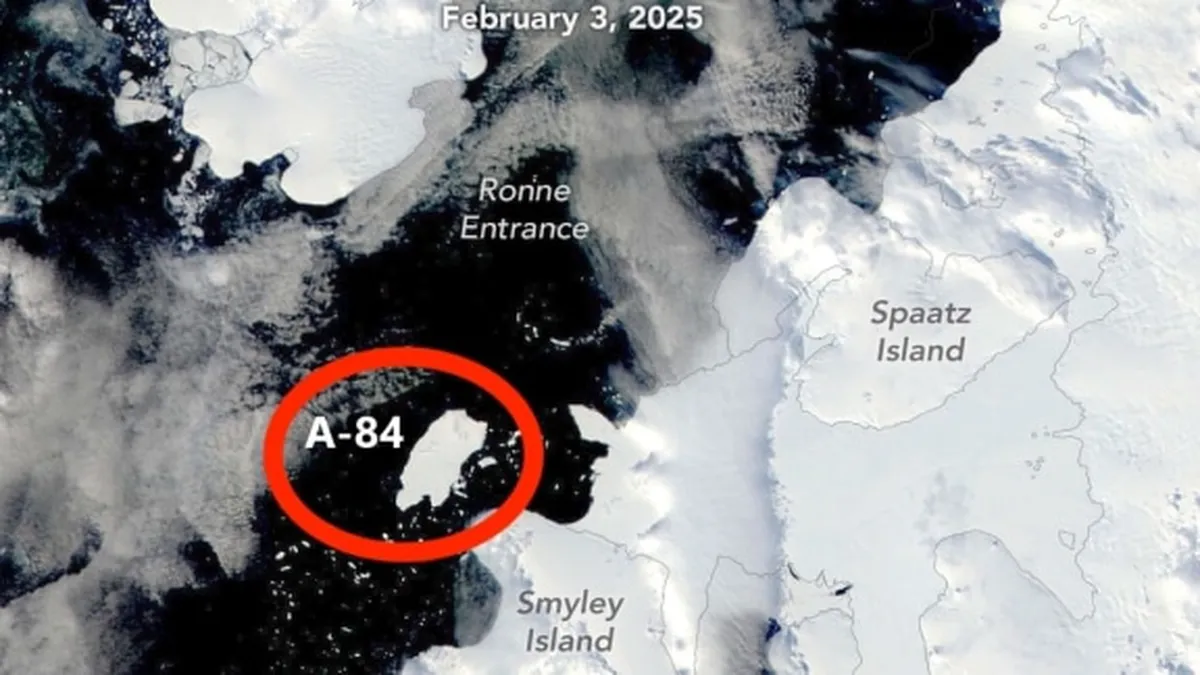 Un aisberg desprins din Antarctica a dezvăluit un ecosistem unic. A fost ascuns timp de peste 100 de ani