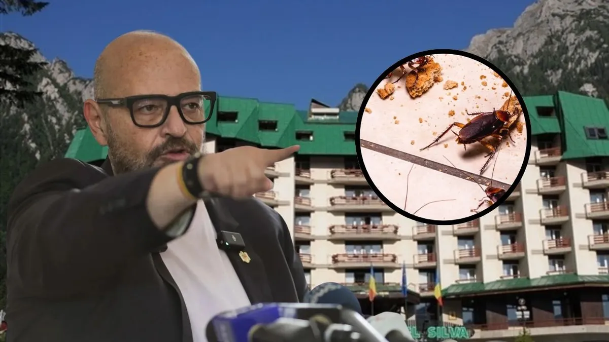 Piedone lovește din nou! ANPC descoperă gândaci, produse expirate și saltele murdare în Valea Prahovei