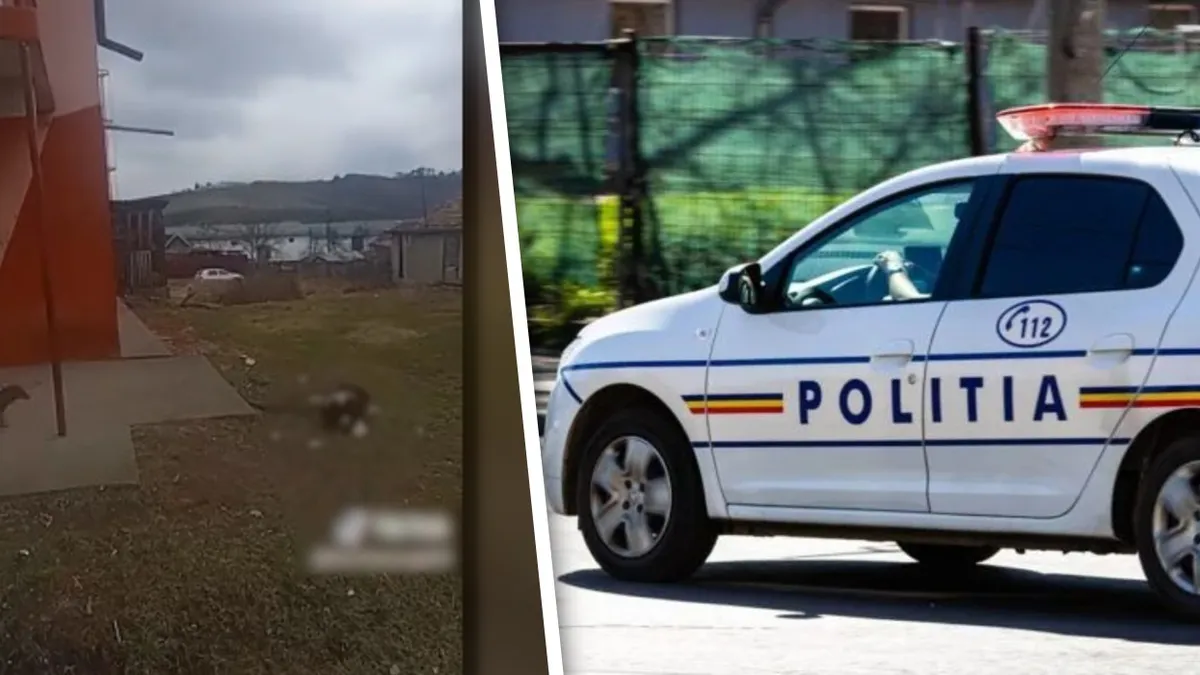 Doi bărbați din Mureș riscă să ajungă după gratii după ce au fost filmați în timp ce aruncau un câine de la 3 metri înălțime